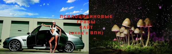 твердый Арсеньев