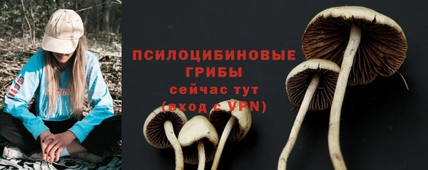 твердый Арсеньев