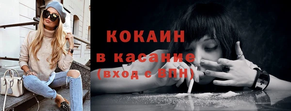 шишки Аркадак