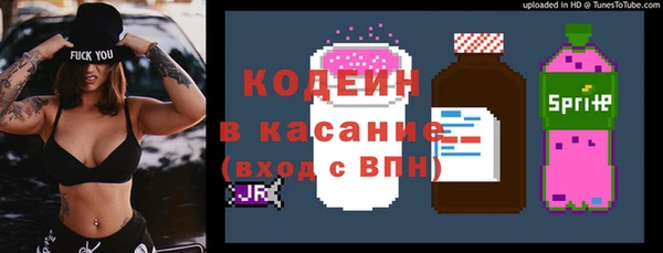 шишки Аркадак