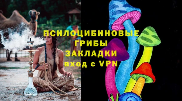 шишки Аркадак