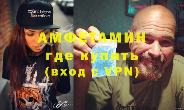 шишки Аркадак