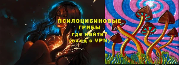 шишки Аркадак
