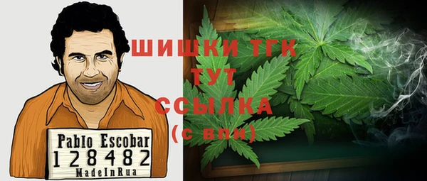 твердый Арсеньев