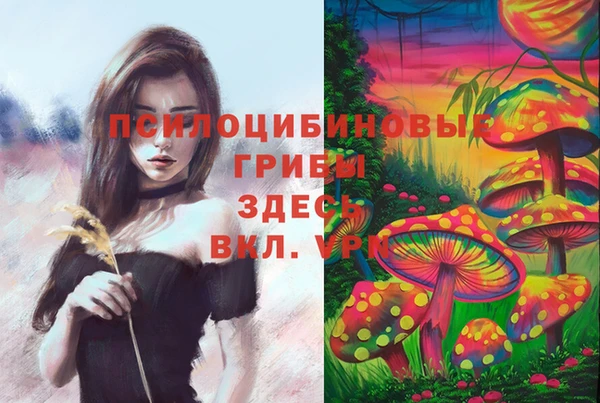 молекула духа Армянск