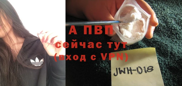 твердый Арсеньев