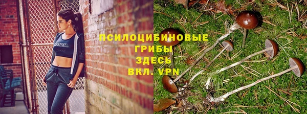шишки Аркадак