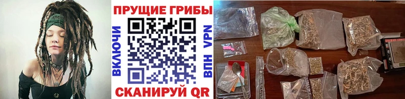Псилоцибиновые грибы Cubensis Ивангород